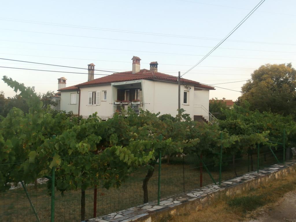 Apartment Gabi Labin  Buitenkant foto